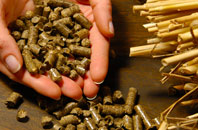 free Drury biomass boiler quotes